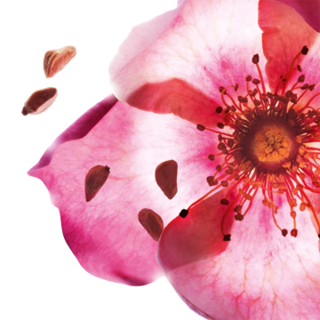 Clarins Lip Comfort Oil (N°54 Iconic Red) 10 Years Anniversary Limited Edition 7ml | apothecary.rs