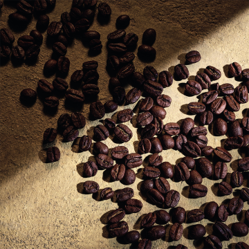 Dolce&Gabanna Devotion Pour Homme Parfum 50ml | apothecary.rs