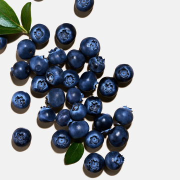 Dolce&Gabbana Blueberry Nutri Tint (17W) 30ml | apothecary.rs