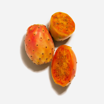 Dolce & Gabbana Everlast Foundation (19W Medium) 27ml | apothecary.rs