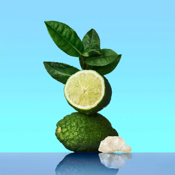 Calvin Klein CK One Deodorant Stick 75g | apothecary.rs