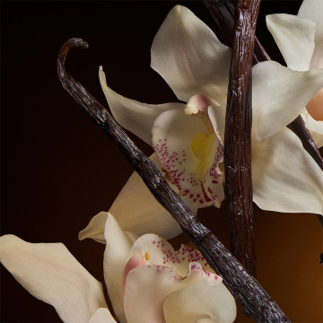 Dolce&Gabbana The One Eau de Parfum Intense 75ml | apothecary.rs