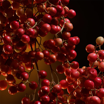 Dolce&Gabbana The One Eau de Parfum Intense 50ml | apothecary.rs