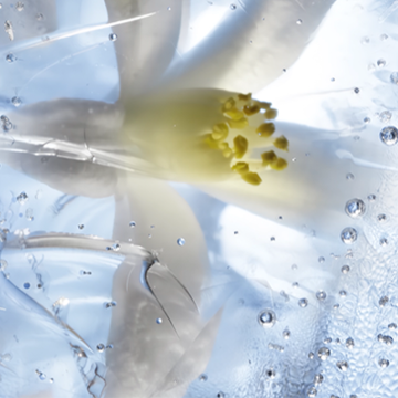 Tom Ford Soleil Neige All Over Body Spray 150ml | apothecary.rs