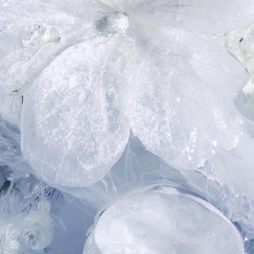 Tom Ford Soleil Neige All Over Body Spray 150ml | apothecary.rs