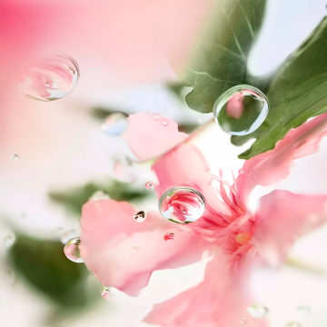 Lancôme Ô Ôver The Top Eau de Toilette 100ml | apothecary.rs