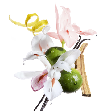 Kérastase Gloss Absolu Bain Crème Hydra-Glaze Shampoo 250ml | apothecary.rs