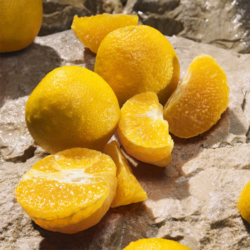 Dolce&Gabbana Light Blue Pour Homme Eau de Parfum 200ml | apothecary.rs