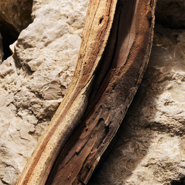 Dolce&Gabbana Light Blue Pour Homme Eau de Parfum 50ml | apothecary.rs