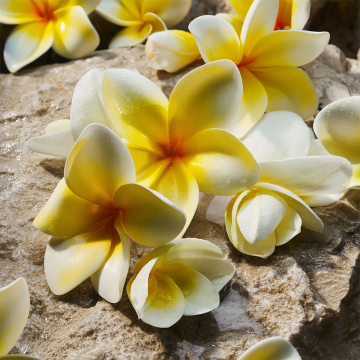 Dolce&Gabbana Light Blue Eau de Parfum 100ml | apothecary.rs