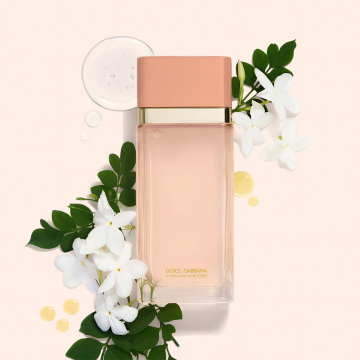 Dolce&Gabbana Hydra-Dose HA Booster 100ml | apothecary.rs