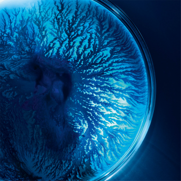 Biotherm Life Plankton™ Eye 15ml | apothecary.rs
