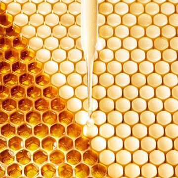 Guerlain Abeille Royale Eye R Repair Serum 20ml | apothecary.rs